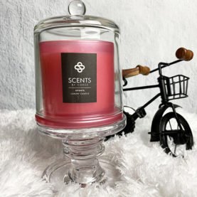 Soy Wax Candle "Update"